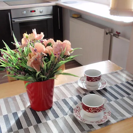 Apartment Central Cietoksna Street Daugavpils